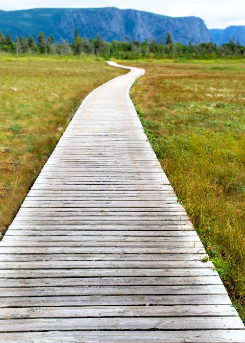 Path toward healing with Dr. Yelena Oren psychologist in Reno Nevada